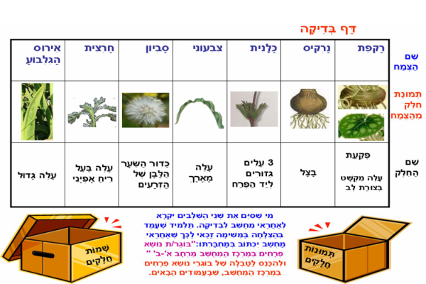 דף בדיקה למשימת המחשב השניה